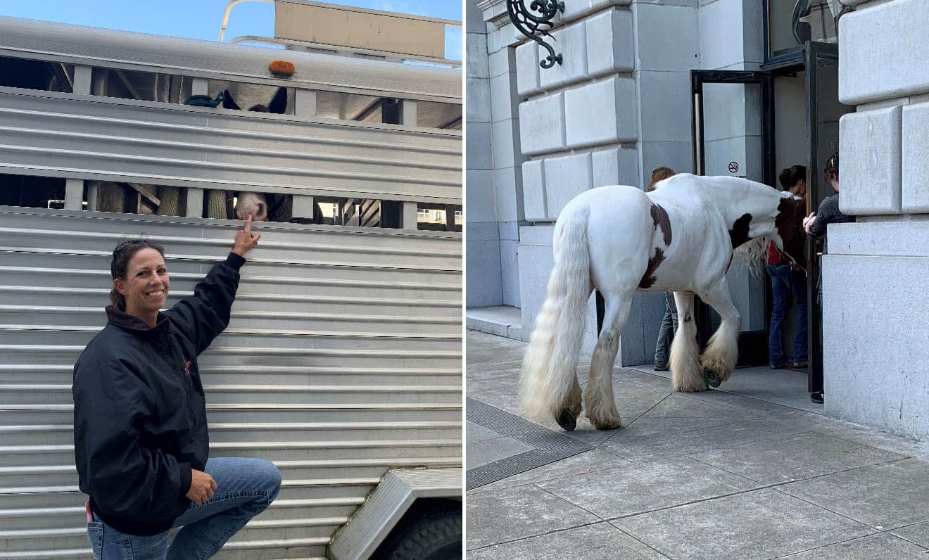 Drogen pre performance