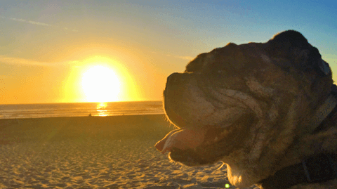 Georgia loves long walks on the beach and watching the sunset with mom Chris Bragg (Opera Center Administrative Director).