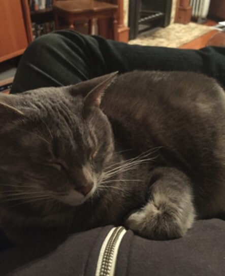 Daisy, the cuddly cutie of Micah Standley, Publications Editor.