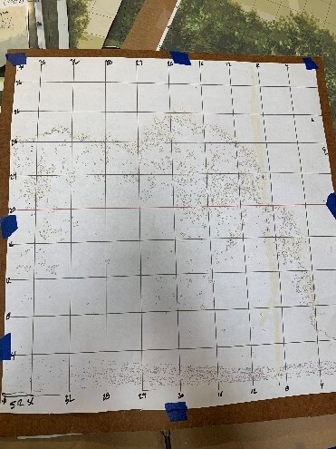 From photorealistic design to exquisitely hand-painted show drop, showing the stages of the process.