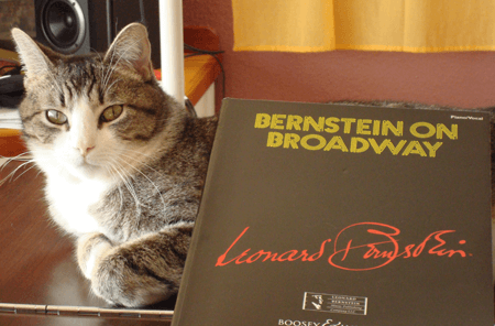 Boris, the cultured kitteh of Ilana Rainero-de Haan, Assistant to the Director of Artistic & Music Planning.