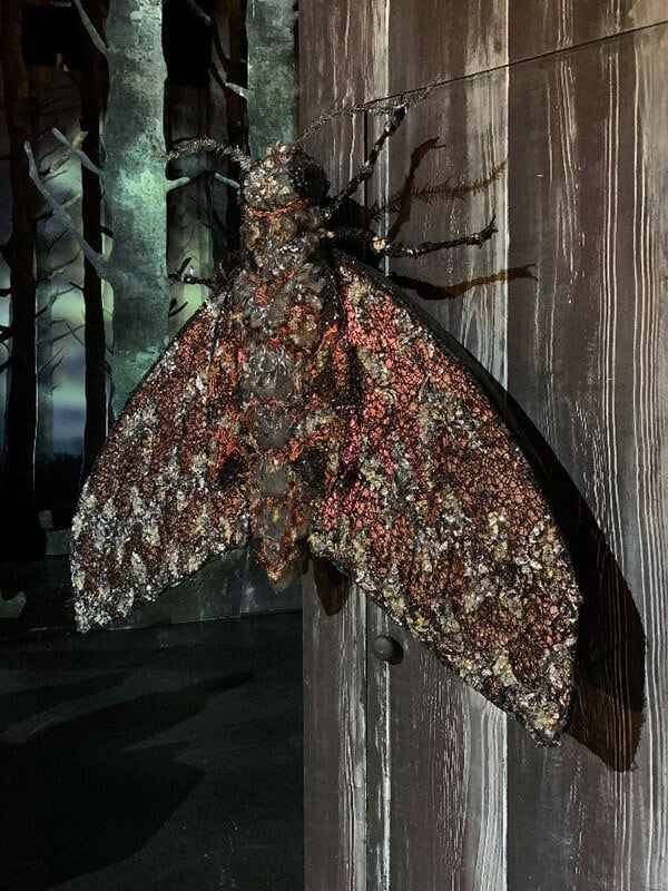 The moth glowing on the fake proscenium, with its built in LED tape (photo: Erik Walstad)