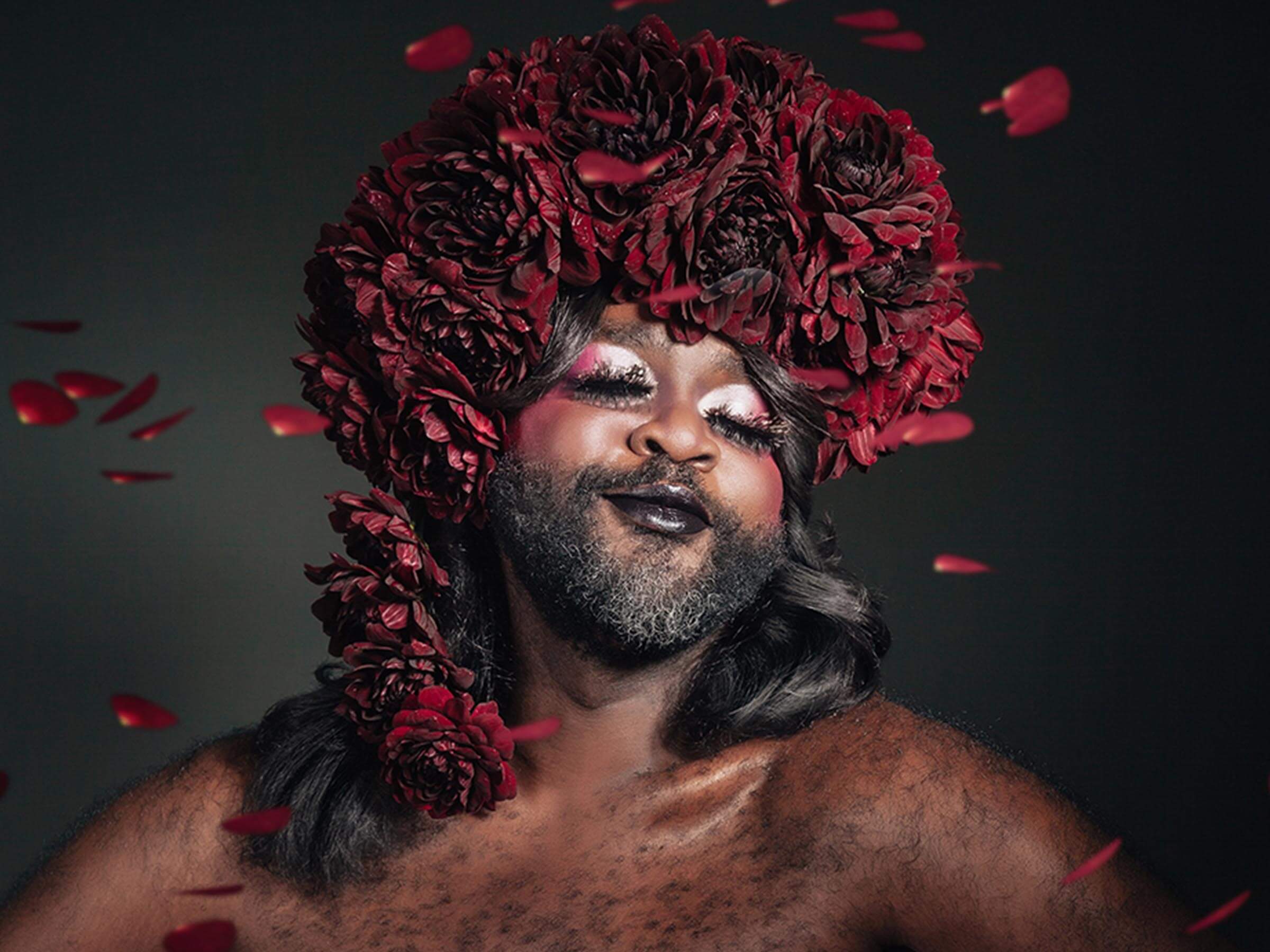 Le Gateau Chocolat, San Francisco Opera