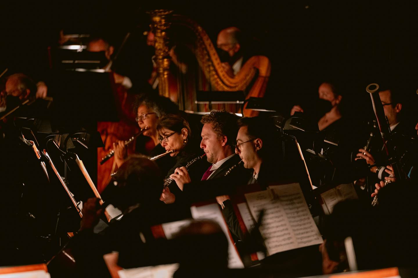 Members of the San Francisco Orchestra&#39; performing