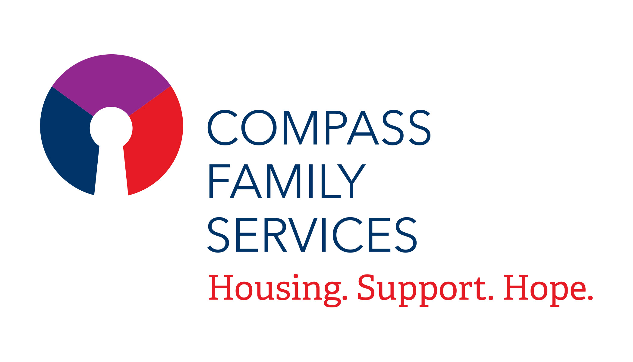 cfs logo
