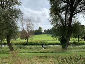 strolling through fields