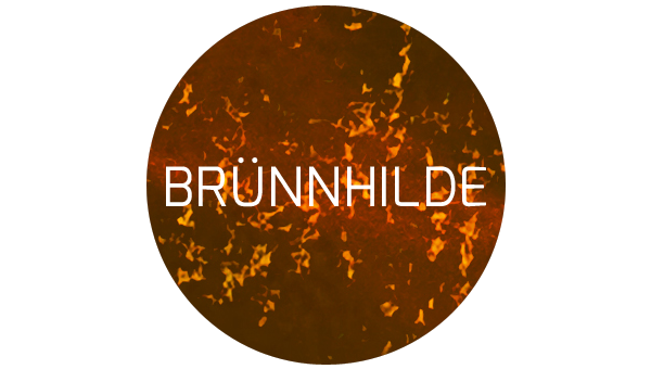 Br&uuml;nnhilde