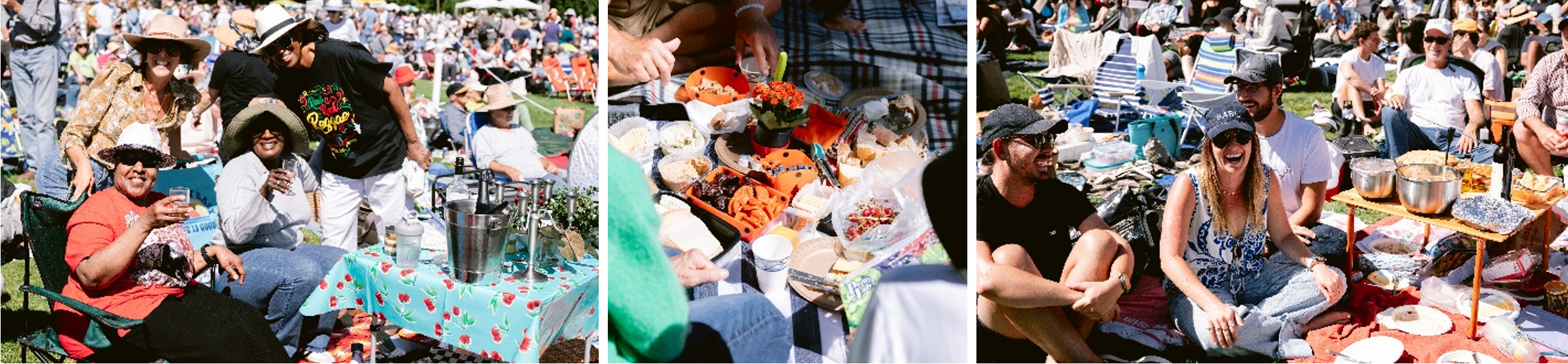 Picnic Contest