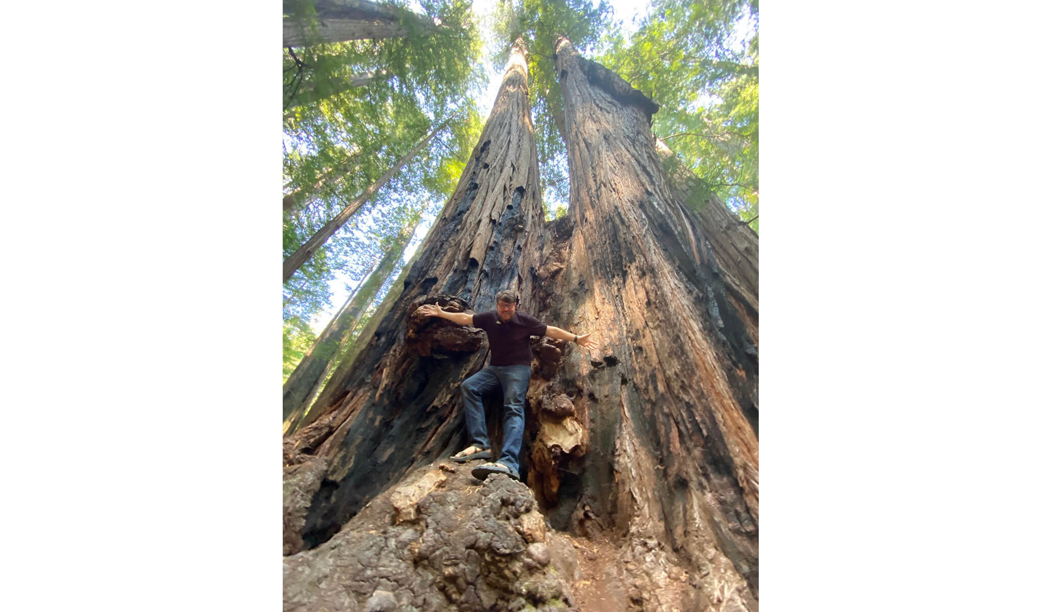 Chris Oglesby camping at Redwoods National Park