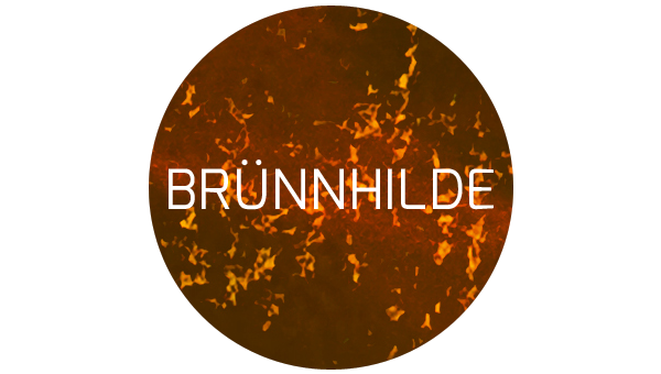 Brunnhilde