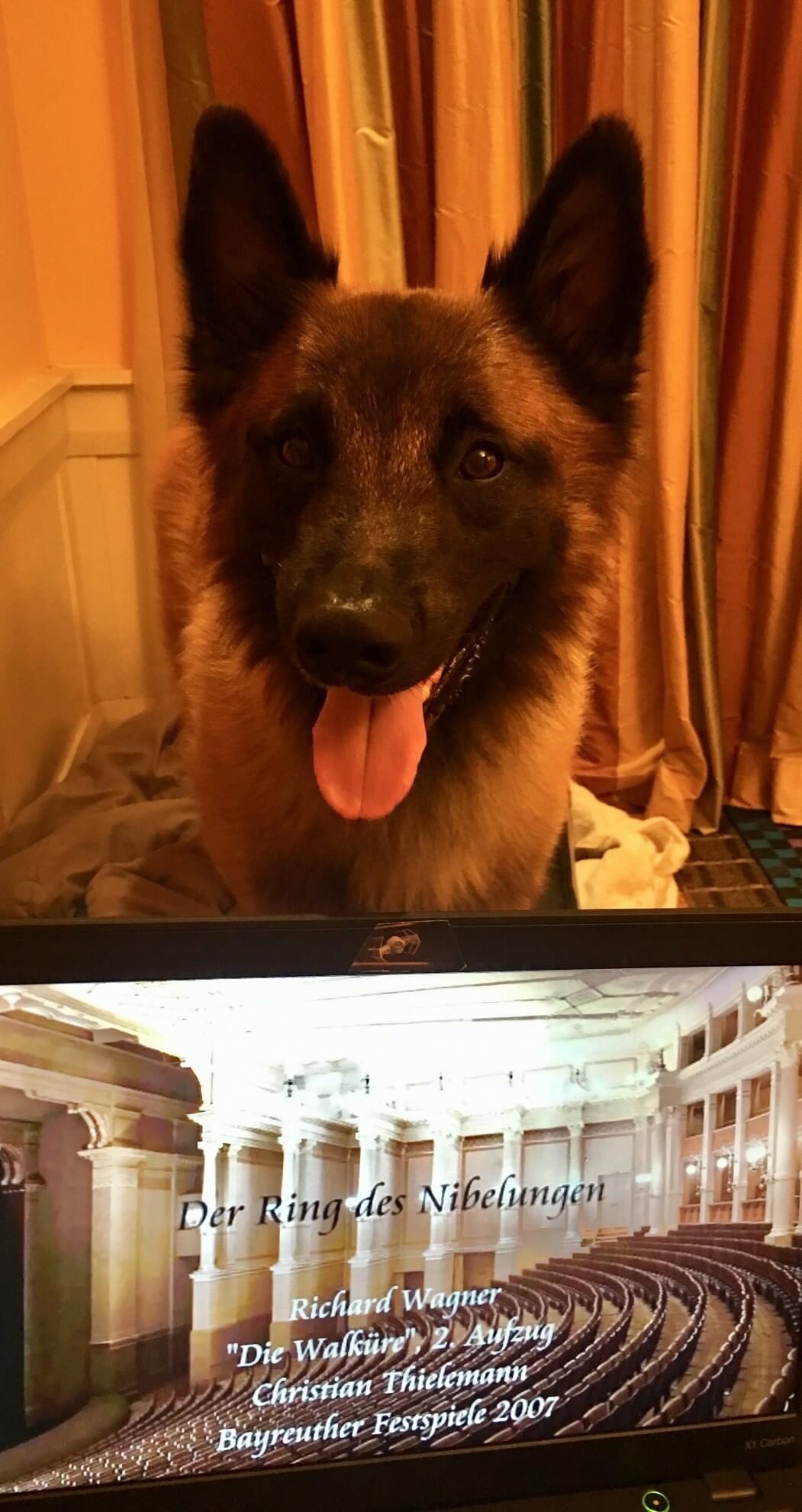 Finn