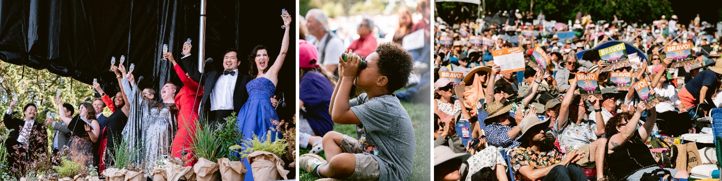 Opera in the Park